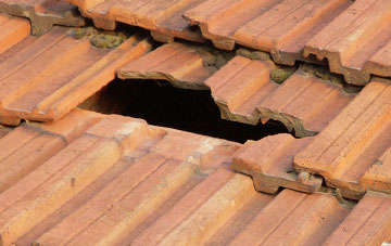 roof repair Bradwell